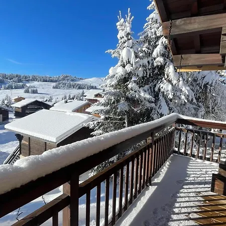 Apartment Plein Sud Aux Saisies N°6 *